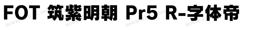 FOT 筑紫明朝 Pr5 R字体转换